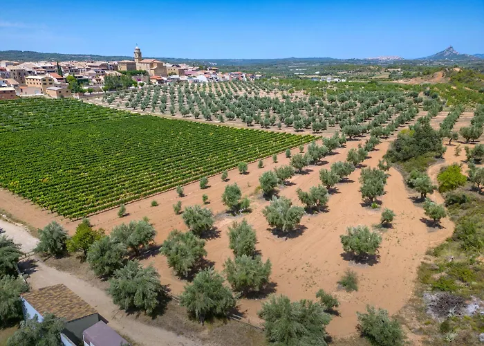 Vilar Rural de Arnes