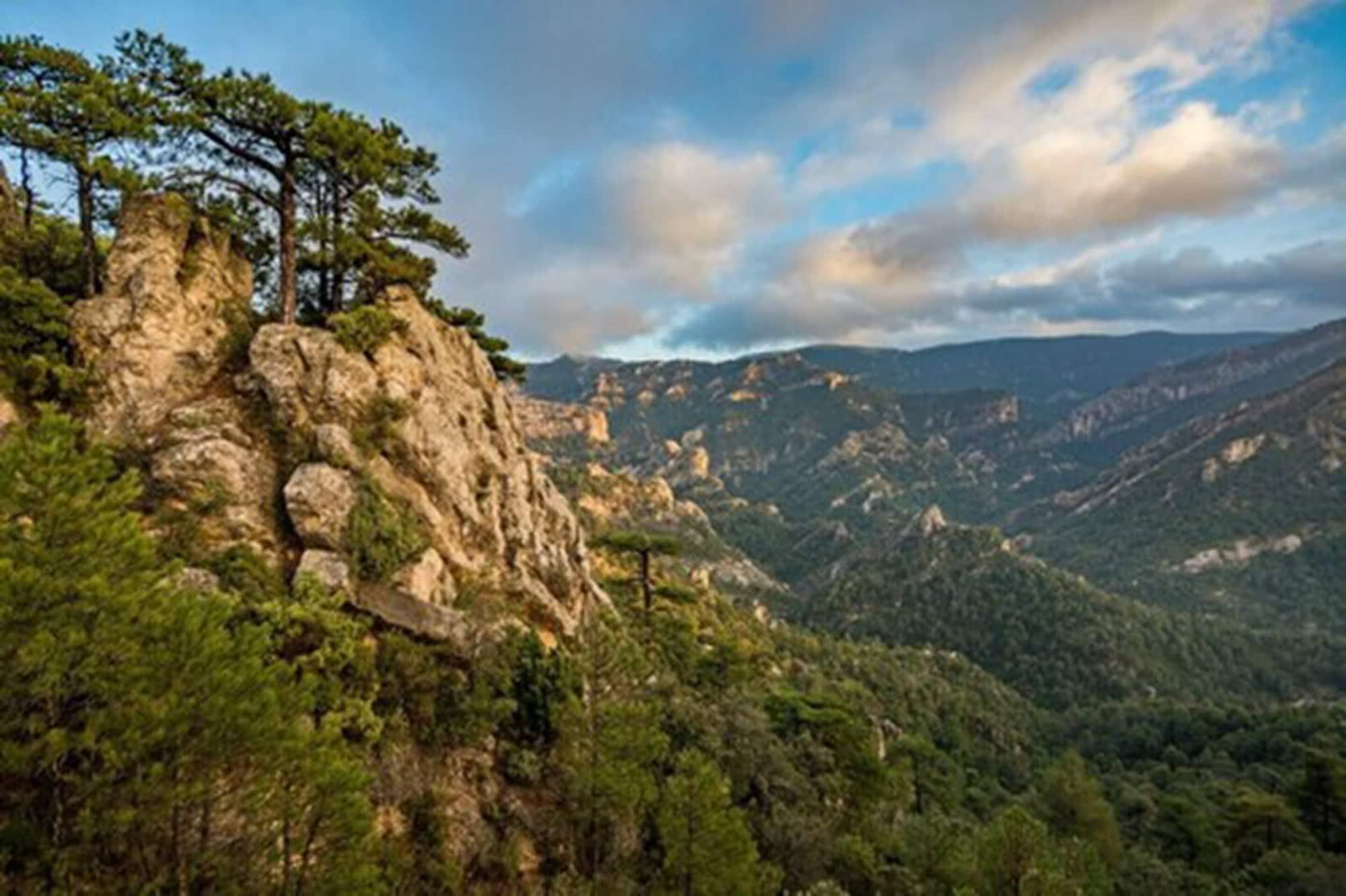 Vilar Rural De Arnes 4* Sant Carlos de la Ràpita