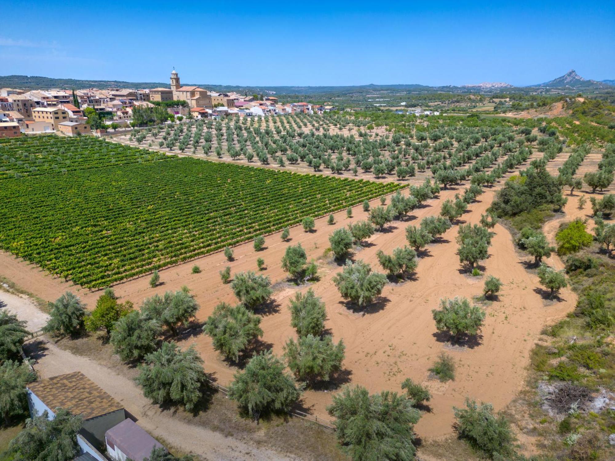 & Vilar Rural D'arnes By Serhs Hotel 4*