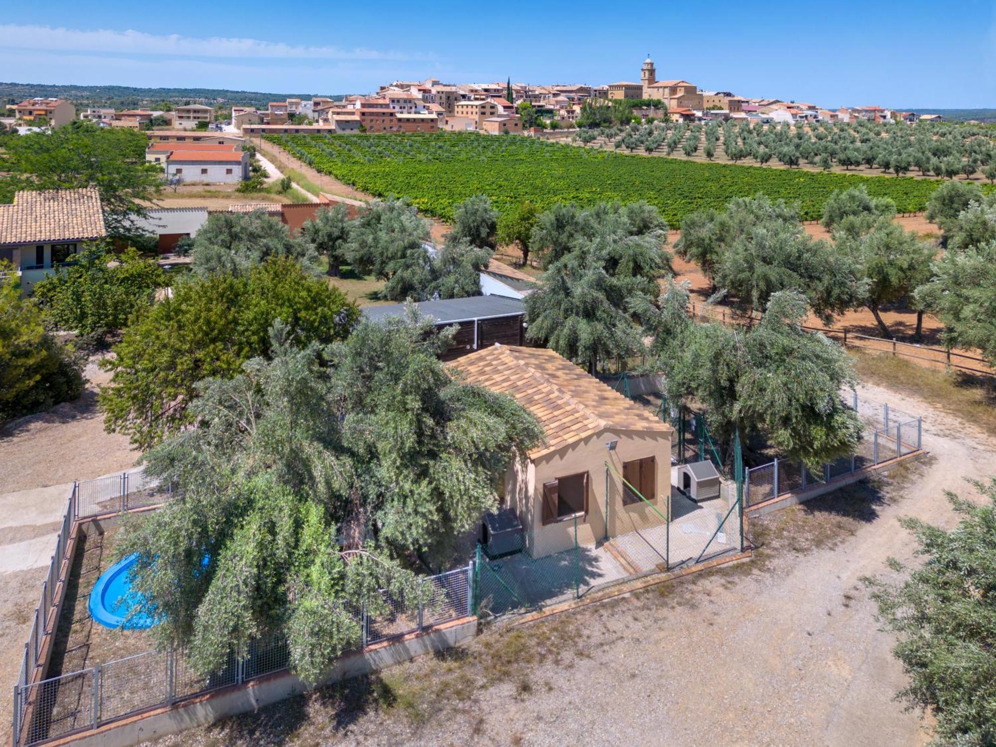 Vilar Rural De Arnes 4*