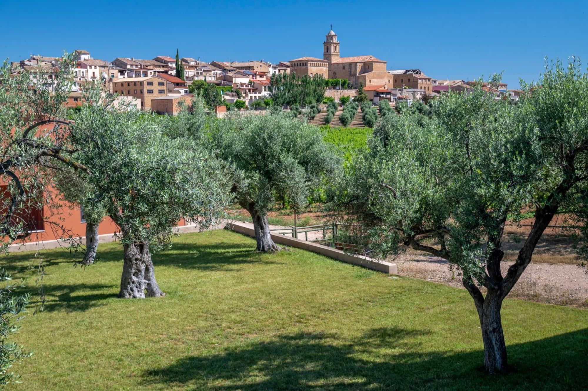 Vilar Rural De Arnes 4*